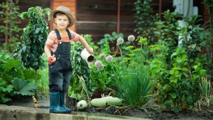 kids-gardening