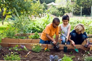 community-garden-kids-plant-590jn071410-1279147997