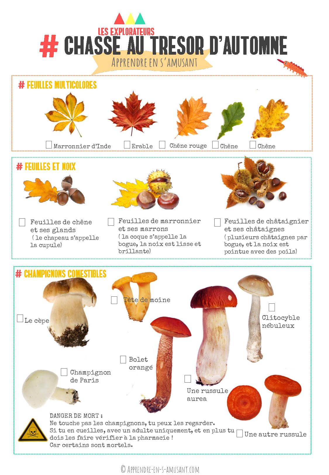 Kit d'inspiration Montessori PDF #2 Automne et forces – Image 6