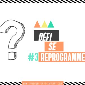 Atelier Parent #3 : Se reprogrammer PDF
